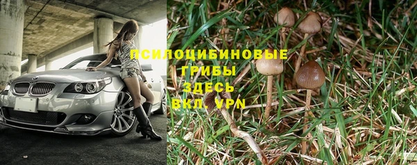spice Алексин