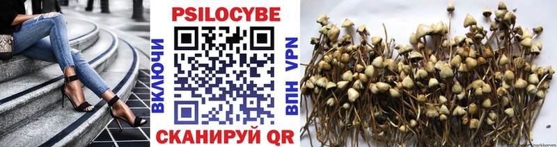 Галлюциногенные грибы MAGIC MUSHROOMS  Купить где  Игра 